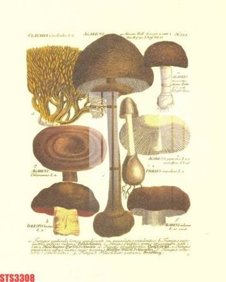 Tệp tin gốc Tranh sơn dầu phương tây tổng hợp STS3308 (chất lượng cao) Tranh sơn dầu phương tây tổng hợp STS3308