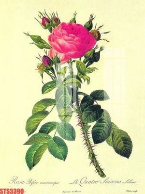 Tải file Tranh sơn dầu phương tây tổng hợp STS3390 (gốc) làm tranh trang trí