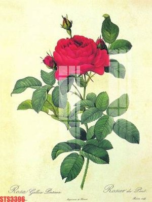 File gốc Tranh sơn dầu phương tây tổng hợp STS3396 (in tráng gương) hiện đại