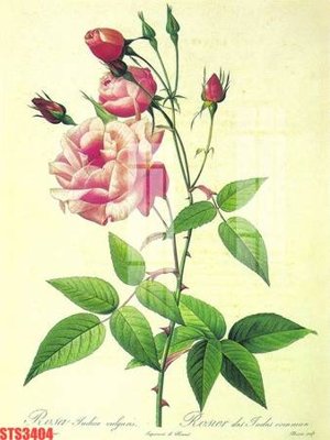 File gốc Tranh sơn dầu phương tây tổng hợp STS3404 (in tráng gương) ốp tường