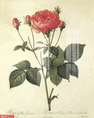 File gốc Tranh sơn dầu phương tây tổng hợp STS3480 (in lụa) tranh mã đáo