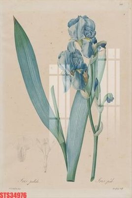 File gốc Tranh sơn dầu phương tây tổng hợp STS34976 (trang trí) phòng làm việc