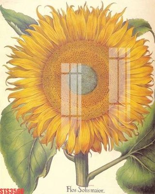 File gốc Tranh sơn dầu phương tây tổng hợp STS3566 (in lụa) hoa văn cổ điển