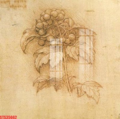 File gốc Tranh sơn dầu phương tây tổng hợp STS35662 (chuẩn CMYK) cho nhà in