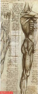 File ảnh Tranh sơn dầu phương tây tổng hợp STS35685 (gốc) trang trí khách sạn