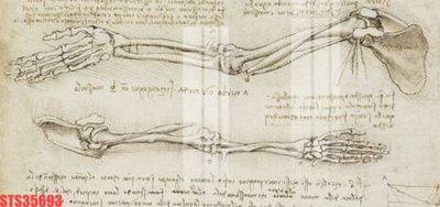 File gốc Tranh sơn dầu phương tây tổng hợp STS35693 (in tráng gương) hiện đại