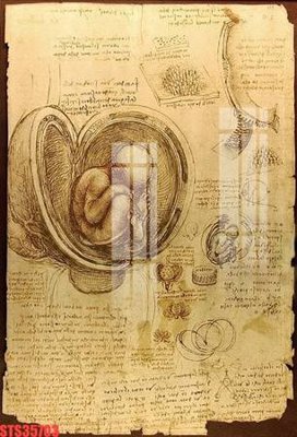 File tranh Tranh sơn dầu phương tây tổng hợp STS35703 (ảnh gốc) không bị mờ