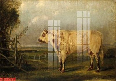 File PSD in ấn Tranh sơn dầu phương tây tổng hợp STS35720 (chất lượng cao)