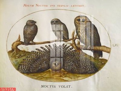 File tranh gốc Tranh sơn dầu phương tây tổng hợp STS35770 (bản quyền) file PSD