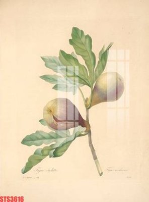 File PSD Tranh sơn dầu phương tây tổng hợp STS3616 (gốc) nhiều lớp (multi-layer)