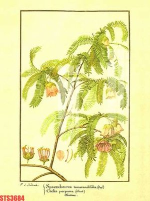 Download file Tranh sơn dầu phương tây tổng hợp STS3684 (chất lượng in ấn)