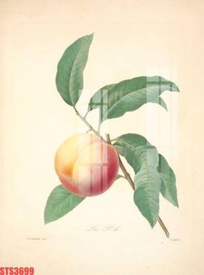 Tải file Tranh sơn dầu phương tây tổng hợp STS3699 (PSD) cho in ấn quảng cáo