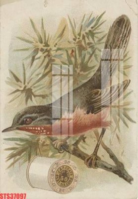 File gốc Tranh sơn dầu phương tây tổng hợp STS37097 (in lụa) tranh mã đáo