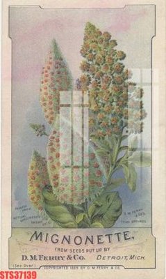 File in mica Tranh sơn dầu phương tây tổng hợp STS37139 (bản gốc) sắc sảo