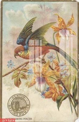 Hình ảnh file gốc Tranh sơn dầu phương tây tổng hợp STS37172 (chất lượng cao)