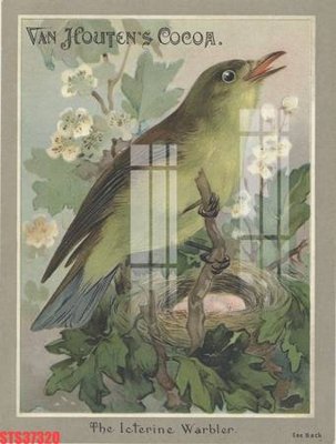 File gốc Tranh sơn dầu phương tây tổng hợp STS37320 (phiên bản chuẩn) để in ấn