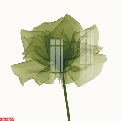 Tải file gốc Tranh sơn dầu phương tây tổng hợp STS3755 (bản PSD) đầy đủ layer