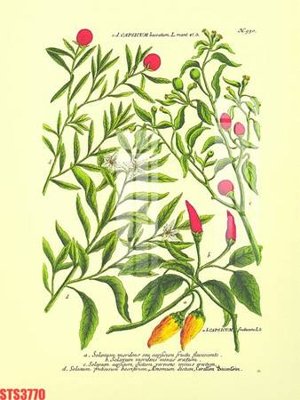 Tải file gốc Tranh sơn dầu phương tây tổng hợp STS3770 (bản PSD) còn layer