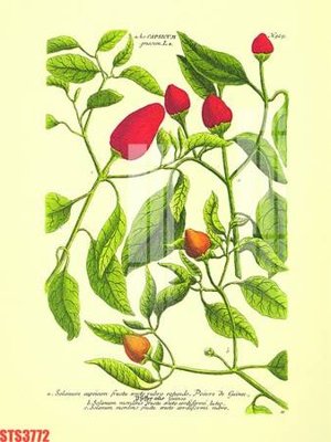 File tranh gốc Tranh sơn dầu phương tây tổng hợp STS3772 chủ đề hiện đại