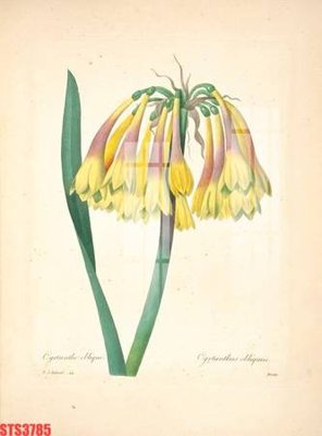 Tải file Tranh sơn dầu phương tây tổng hợp STS3785 (gốc) để in ấn ngay