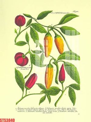 File tranh quảng cáo Tranh sơn dầu phương tây tổng hợp STS3840 (download file gốc)