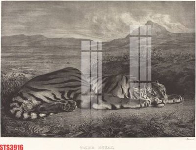 Tải về file tranh gốc Tranh sơn dầu phương tây tổng hợp STS3916 (để in quảng cáo)