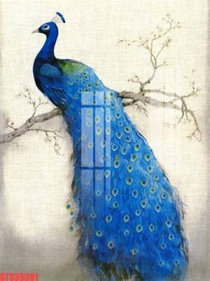 File in ấn Tranh sơn dầu phương tây tổng hợp STS39391 (bản gốc) cao cấp