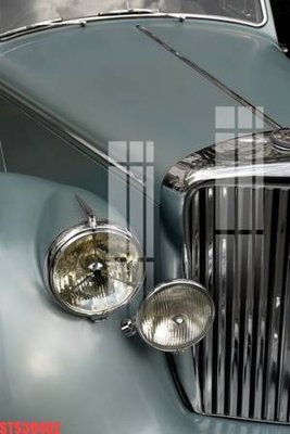 File gốc Tranh sơn dầu phương tây tổng hợp STS39402 (in lụa) họa tiết 3D