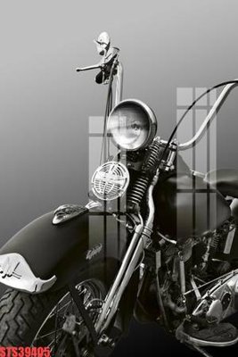 Download file Tranh sơn dầu phương tây tổng hợp STS39405 (gốc) cho xưởng in