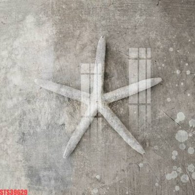 Tải file tranh Tranh sơn dầu phương tây tổng hợp STS39629 (ảnh gốc) ngay