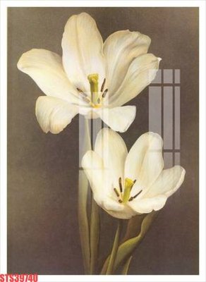 File in ấn cao cấp Tranh sơn dầu phương tây tổng hợp STS39740 (file gốc)