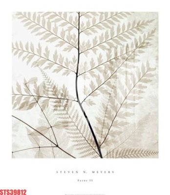 Tải file Tranh sơn dầu phương tây tổng hợp STS39812 (PSD) cho in ấn quảng cáo