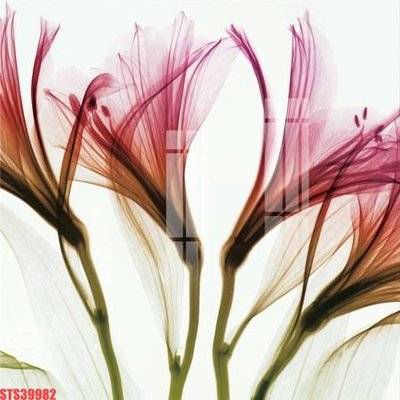 Ảnh gốc file in lụa Tranh sơn dầu phương tây tổng hợp STS39982 chi tiết