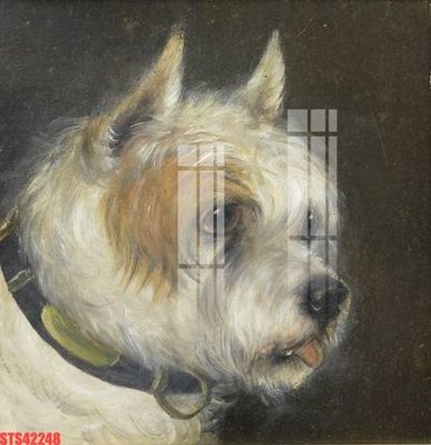 File PSD Tranh sơn dầu phương tây tổng hợp STS42248 (bản gốc) chất lượng nhất