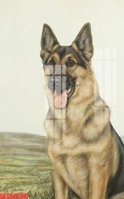 Ảnh gốc Tranh sơn dầu phương tây tổng hợp STS42258 (siêu chi tiết) để in ấn