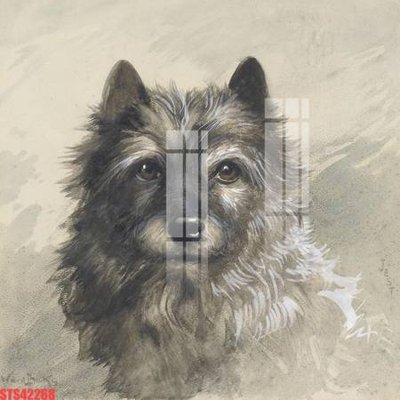 File gốc Tranh sơn dầu phương tây tổng hợp STS42268 (chủ đề hiện đại) trang trí