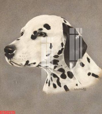 File gốc in ấn Tranh sơn dầu phương tây tổng hợp STS42275 chuẩn màu CMYK