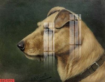 File PSD Tranh sơn dầu phương tây tổng hợp STS42326 (nguyên gốc) chất lượng cao