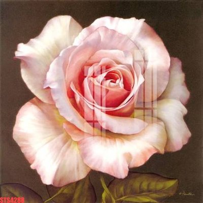 File PSD Tranh sơn dầu phương tây tổng hợp STS4288 (bản gốc) cho nhà in