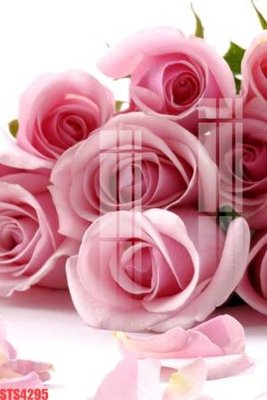 File gốc Tranh sơn dầu phương tây tổng hợp STS4295 (ảnh chi tiết) để in lụa