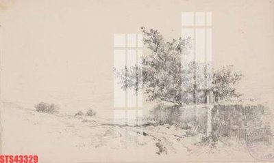 File PSD Tranh sơn dầu phương tây tổng hợp STS43329 (nguyên gốc) chất lượng cao