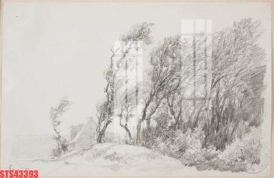 File ảnh Tranh sơn dầu phương tây tổng hợp STS43393 (gốc) in quảng cáo ngoài trời