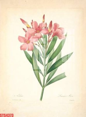 Tải file gốc Tranh sơn dầu phương tây tổng hợp STS4373 (in khổ lớn) quảng cáo