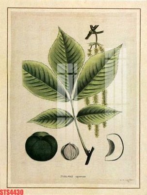 File in trần Tranh sơn dầu phương tây tổng hợp STS4430 (file gốc) phong thủy