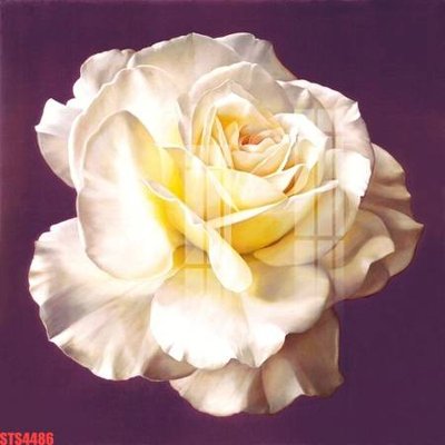 File PSD Tranh sơn dầu phương tây tổng hợp STS4486 (nguyên bản) cho thiết kế