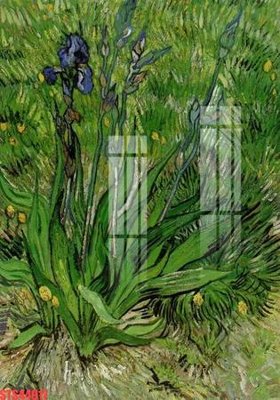 File gốc Tranh sơn dầu phương tây tổng hợp STS44917 (chuẩn màu) cho in offset