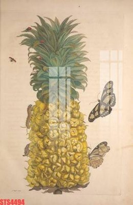 Tải file tranh Tranh sơn dầu phương tây tổng hợp STS4494 (gốc) tại Filetranh.com