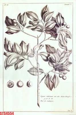 Download file ảnh gốc Tranh sơn dầu phương tây tổng hợp STS4554 để in ấn