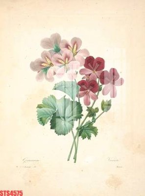 Download file gốc Tranh sơn dầu phương tây tổng hợp STS4575 (in lụa) nghệ thuật