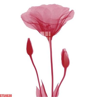 File PSD Tranh sơn dầu phương tây tổng hợp STS4630 (gốc) cho designer